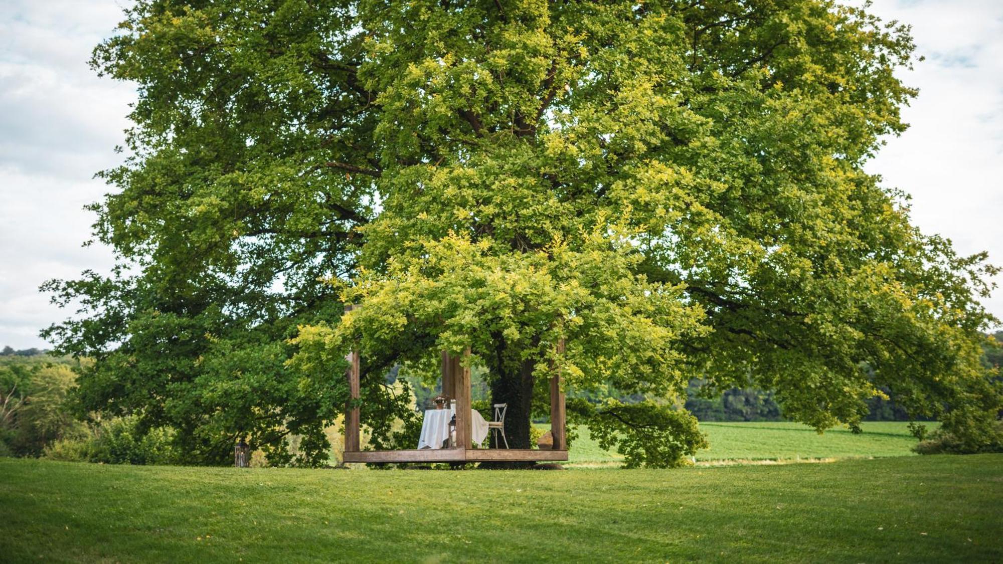 Domaine Du Kaegy - Hebergements 5 Etoiles Steinbrunn-le-Bas エクステリア 写真