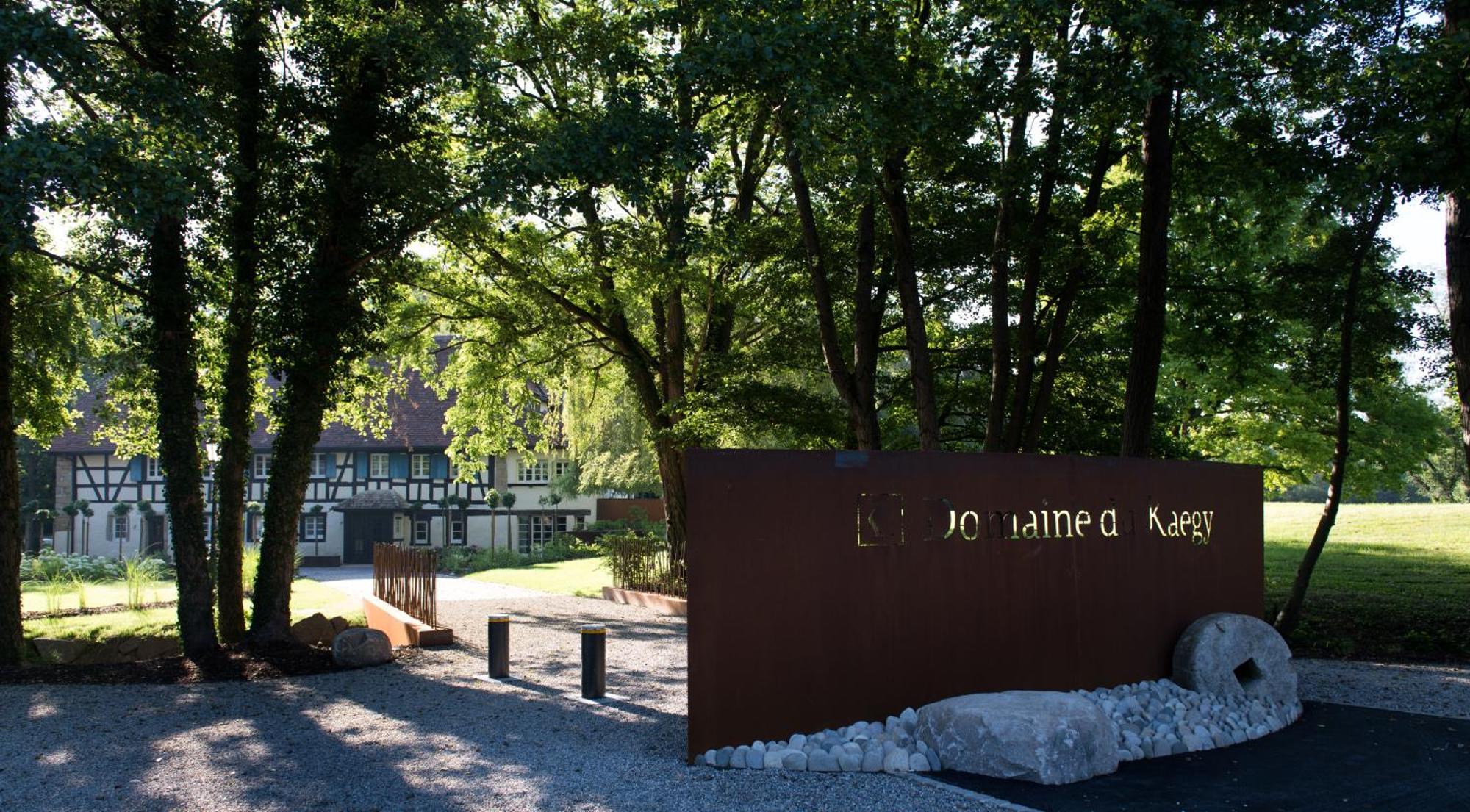 Domaine Du Kaegy - Hebergements 5 Etoiles Steinbrunn-le-Bas エクステリア 写真